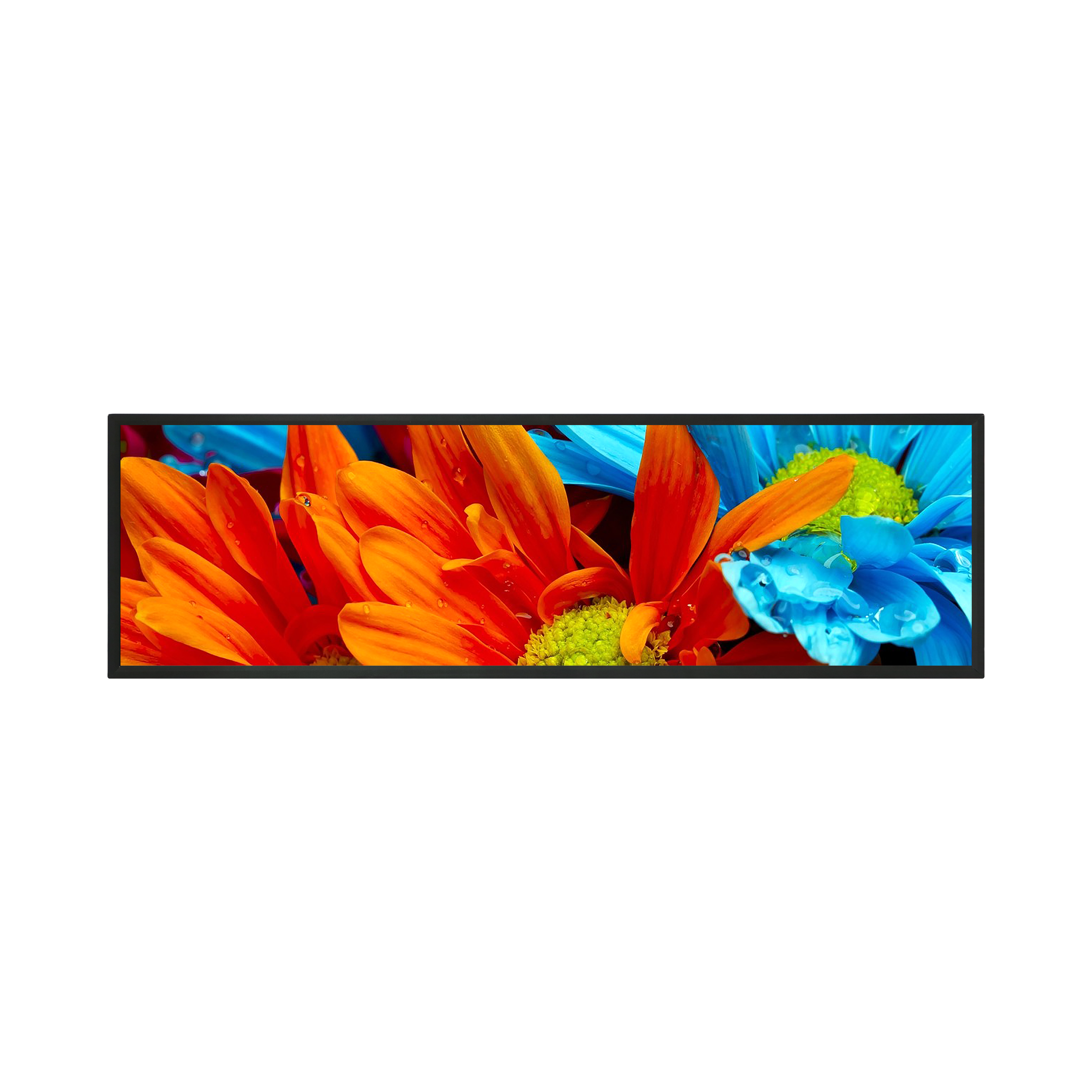 What is the bar display?